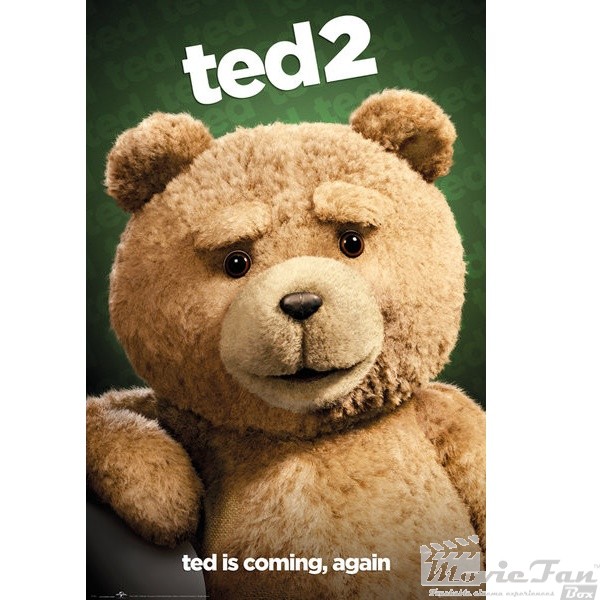  TED 2 plagát 61x91 cm - Close Up